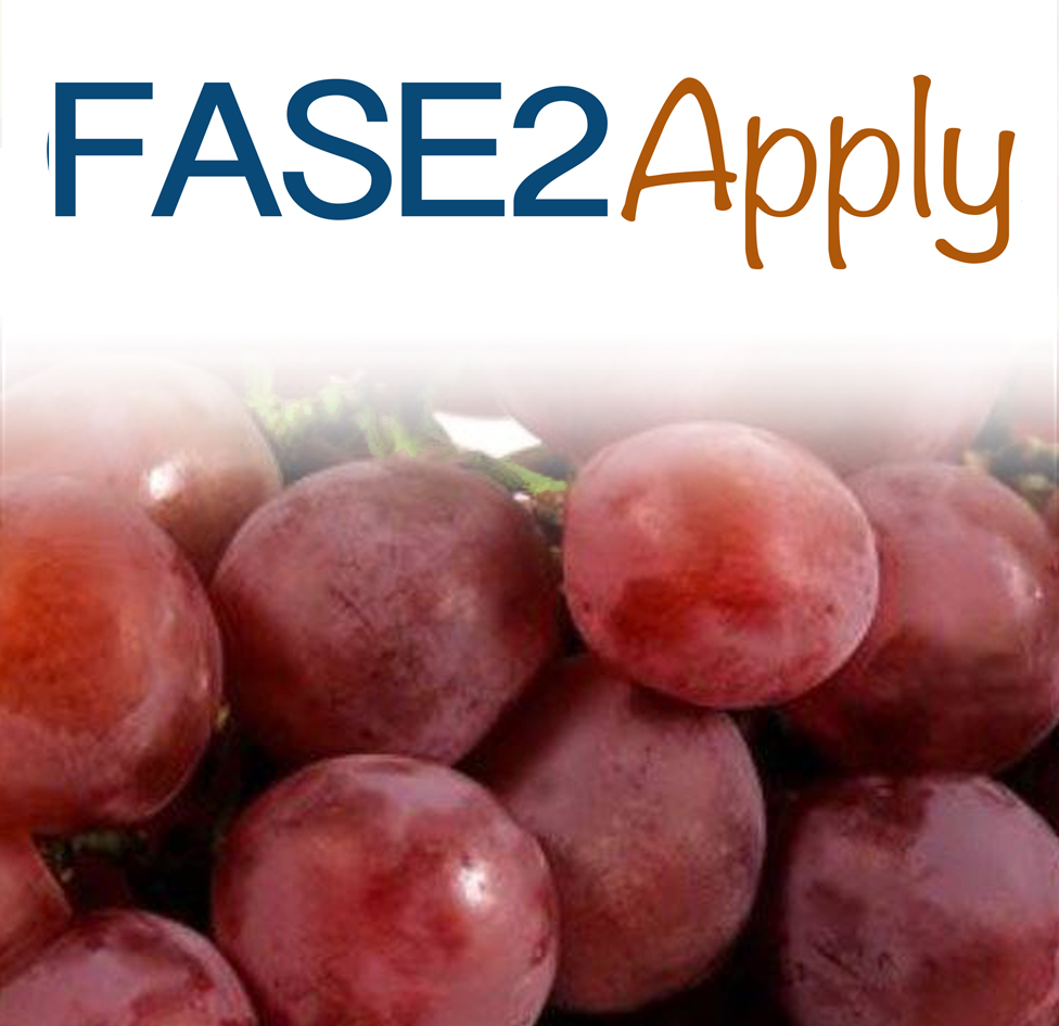 FASE 2-Apply COD: ECO N-006